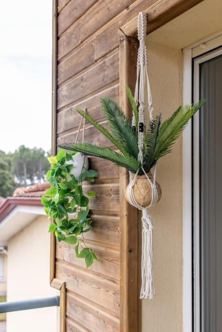 Appartement Des Grands Lacs Сангине Екстериор снимка
